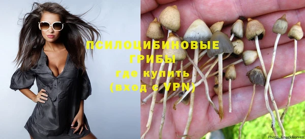 кокс Арсеньев