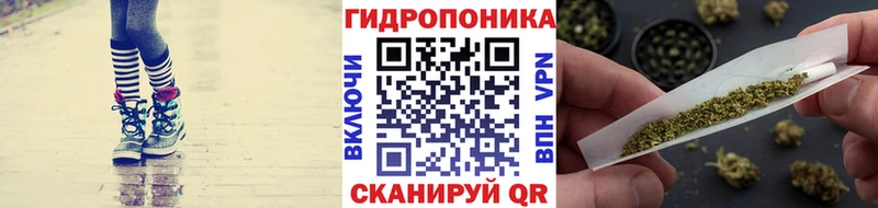 KRAKEN как войти  Остров  Каннабис тримм 
